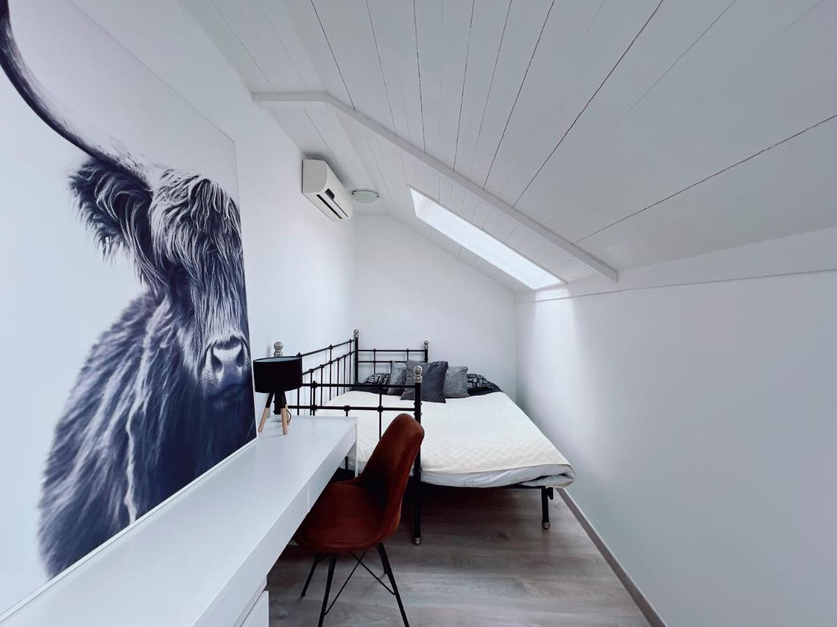 Apartment Duplex Penthouse With Sauna & Jacuzzi In The Centre Of